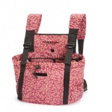 Fantasy pet carrier1 (1)